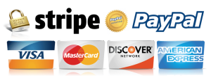 stripe Payment Logo